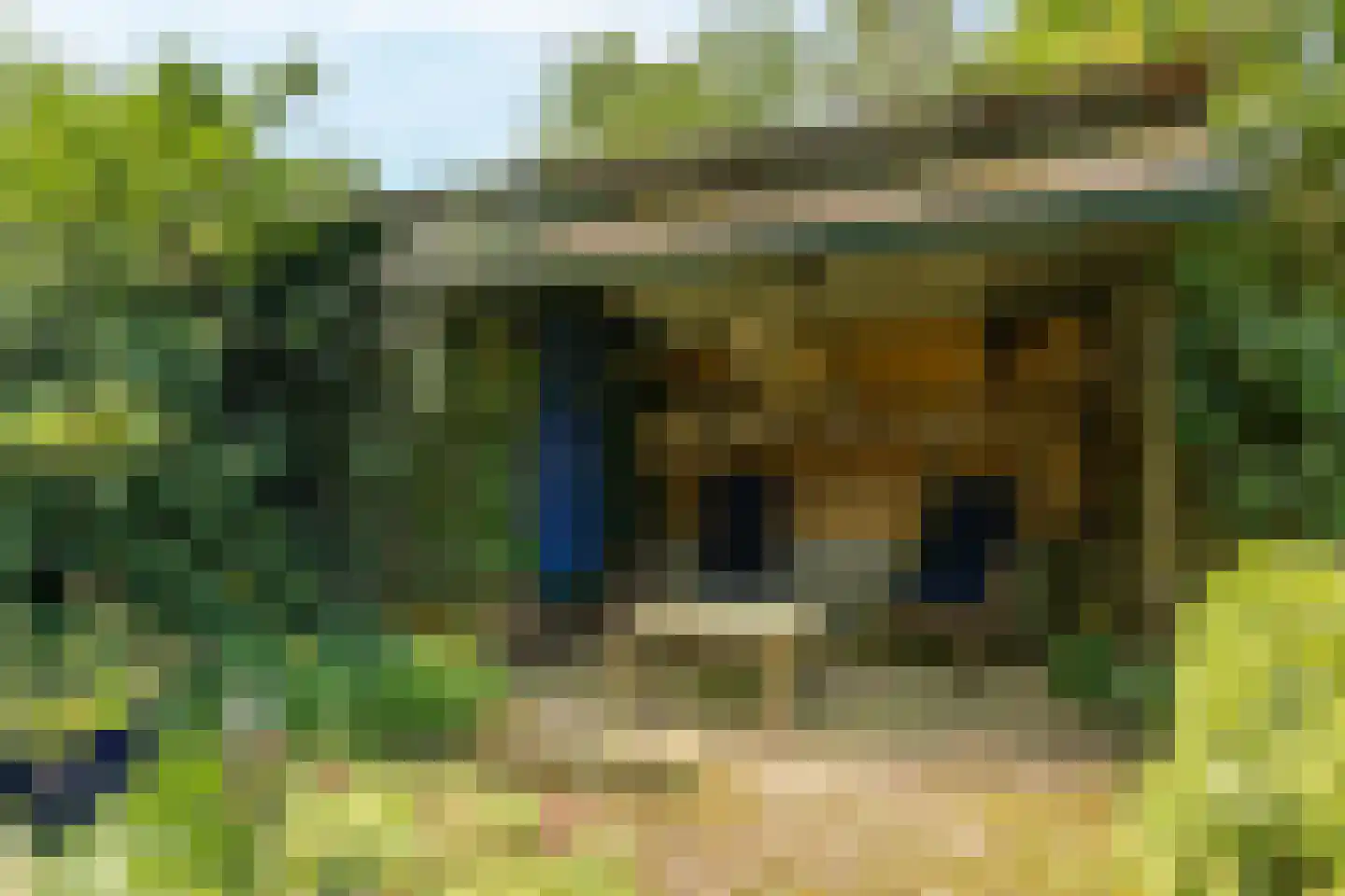 Dorpsweg 34 Wilsum thumbnail 56