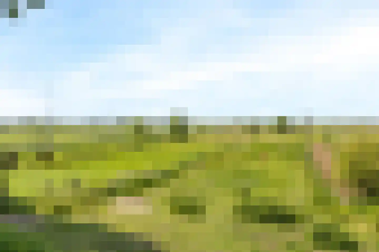 Dorpsweg 34 Wilsum thumbnail 58