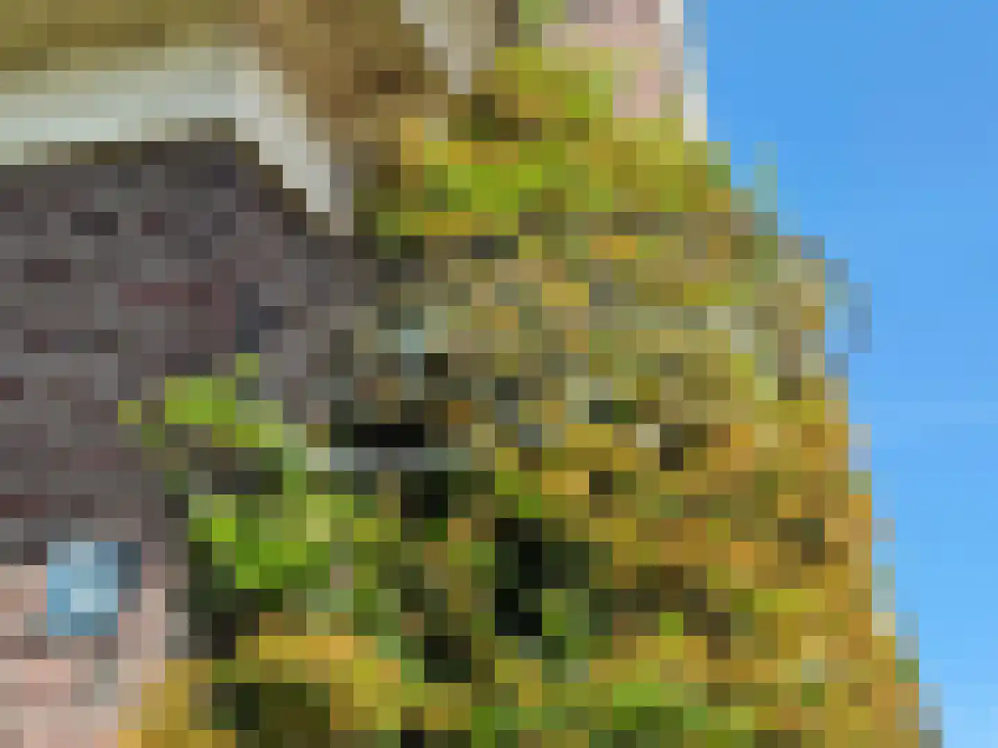 Dorpsweg 34 Wilsum thumbnail 6