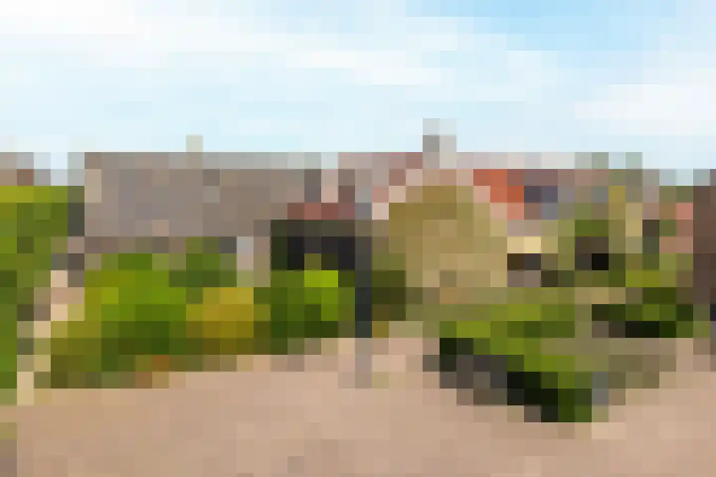 Dorpsweg 34 Wilsum thumbnail 7