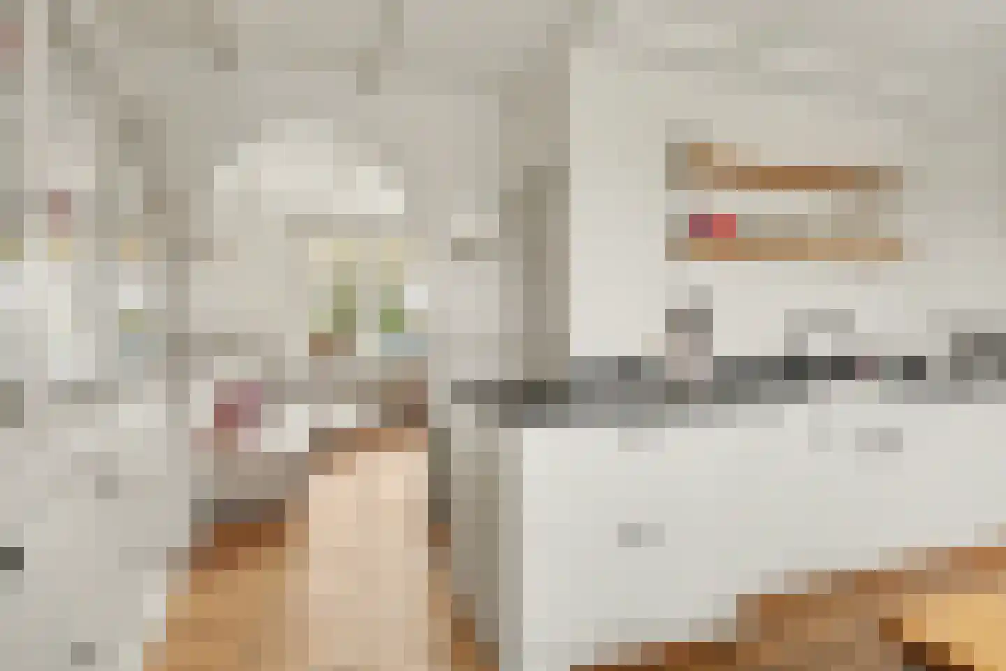 Dorpsweg 34 Wissenkerke thumbnail 13