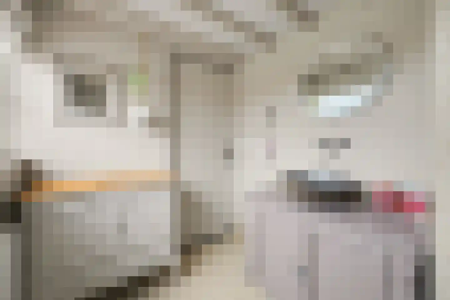 Dorpsweg 34 Wissenkerke thumbnail 27
