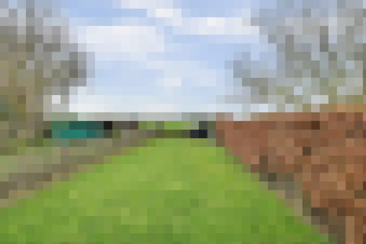Dorpsweg 34 Wissenkerke thumbnail 30