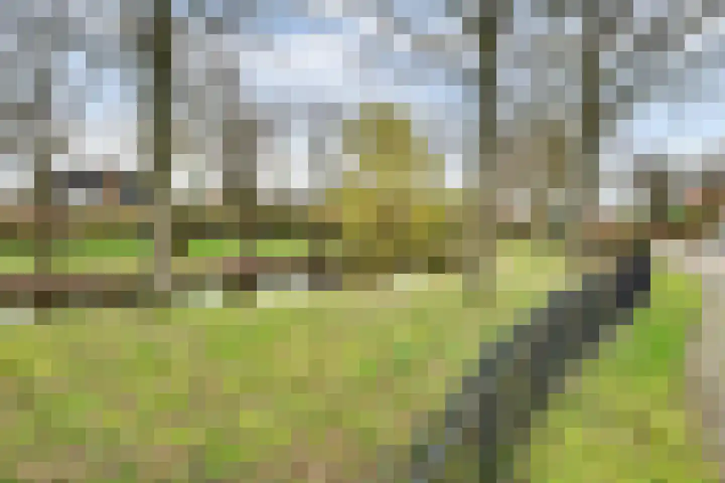 Dorpsweg 34 Wissenkerke thumbnail 38