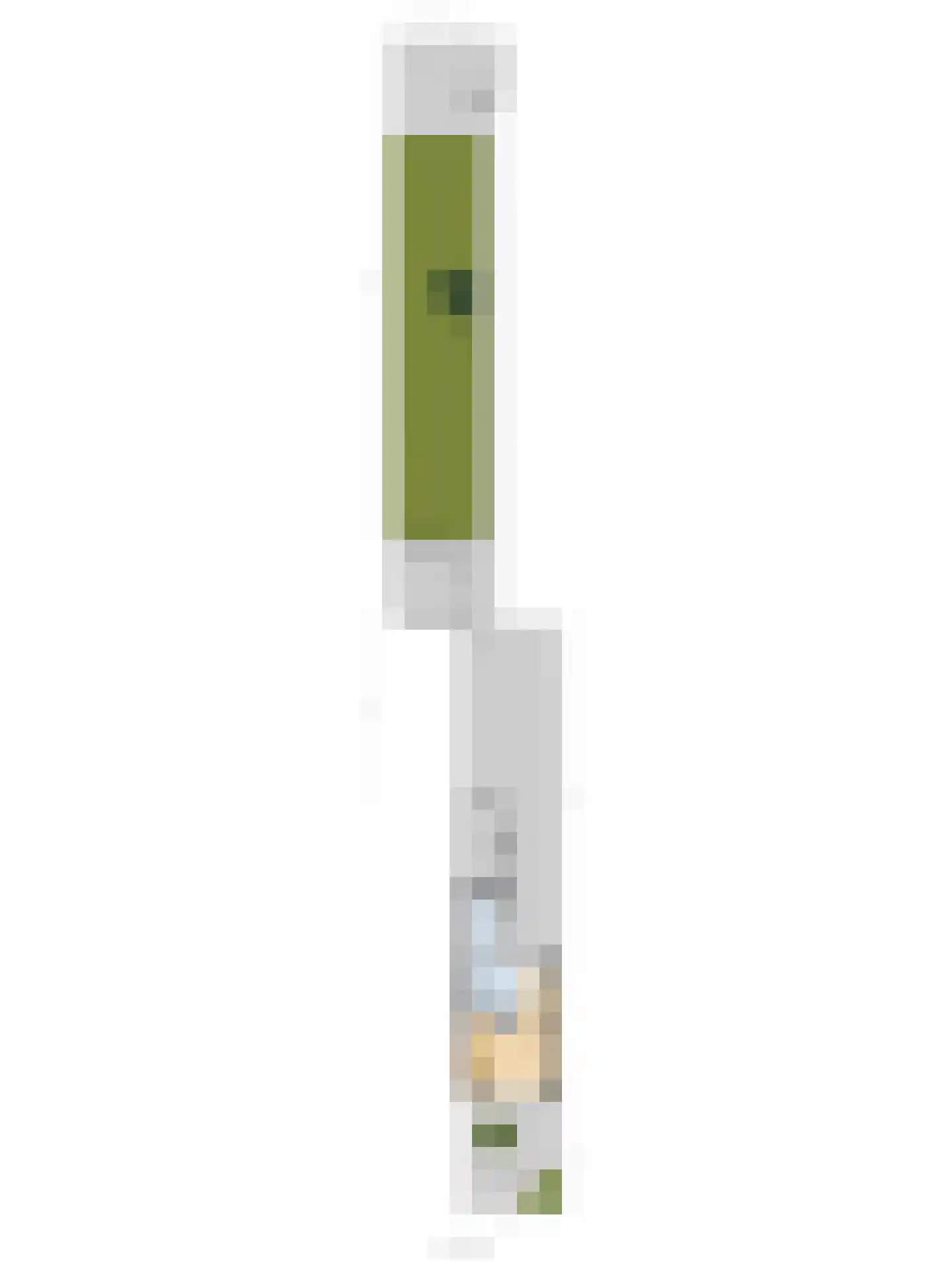 Dorpsweg 34 Wissenkerke thumbnail 41