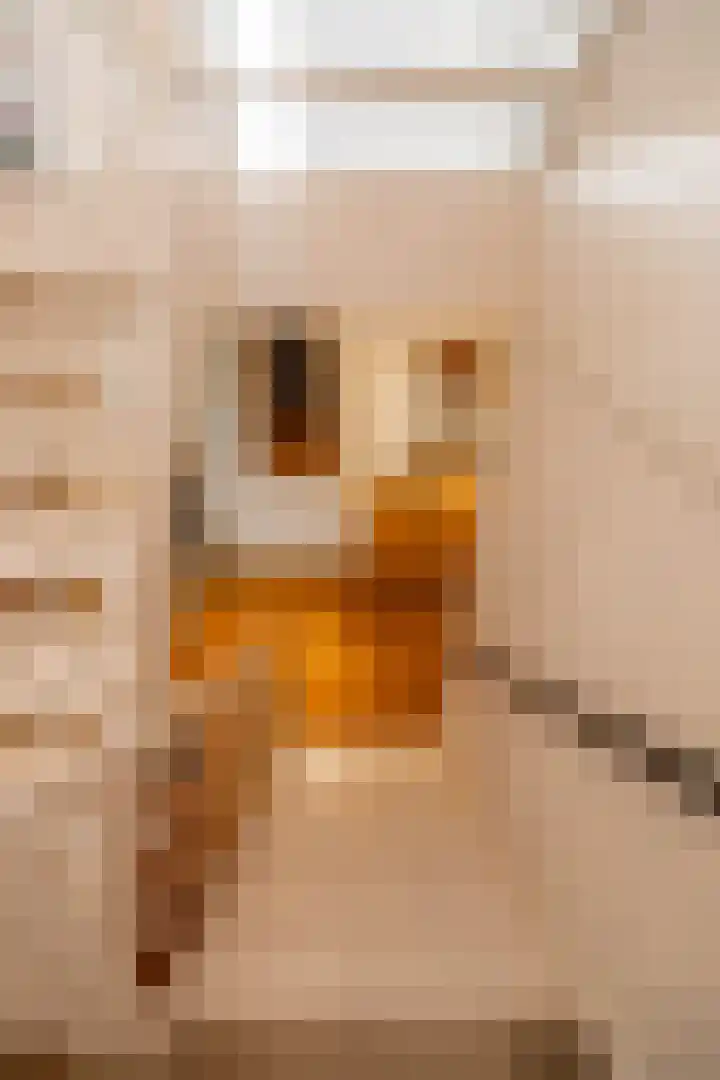 Dorpsweg 35 e Onnen thumbnail 30