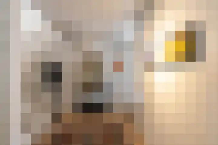 Dorpsweg 35 h Onnen thumbnail 13