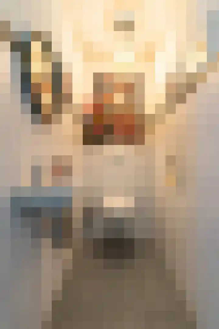 Dorpsweg 35 h Onnen thumbnail 17