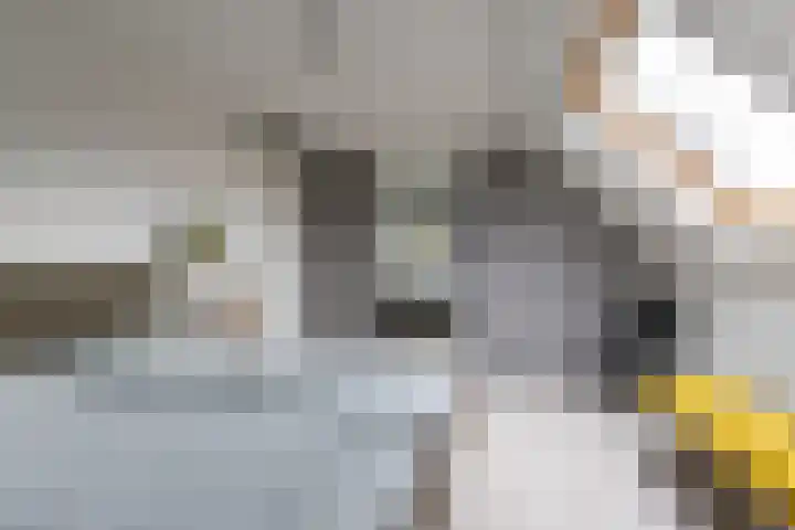 Dorpsweg 35 h Onnen thumbnail 40