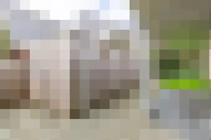 Dorpsweg 35 h Onnen thumbnail 47