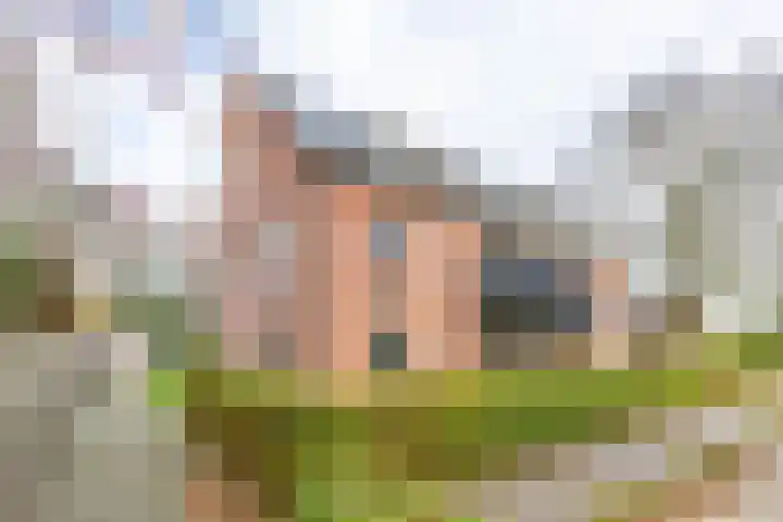 Dorpsweg 35 h Onnen thumbnail 7