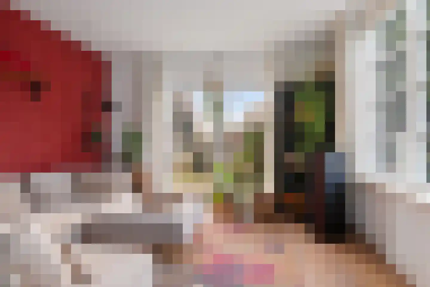 Dorpsweg 39 Schellinkhout thumbnail 15