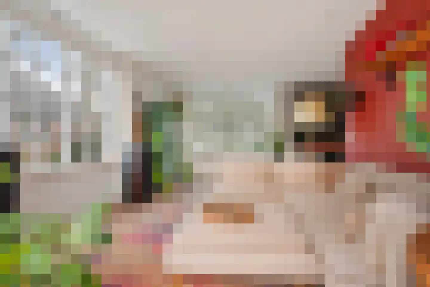 Dorpsweg 39 Schellinkhout thumbnail 16