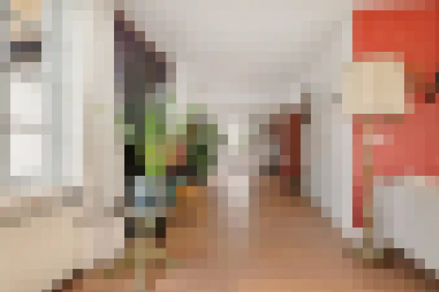 Dorpsweg 39 Schellinkhout thumbnail 17