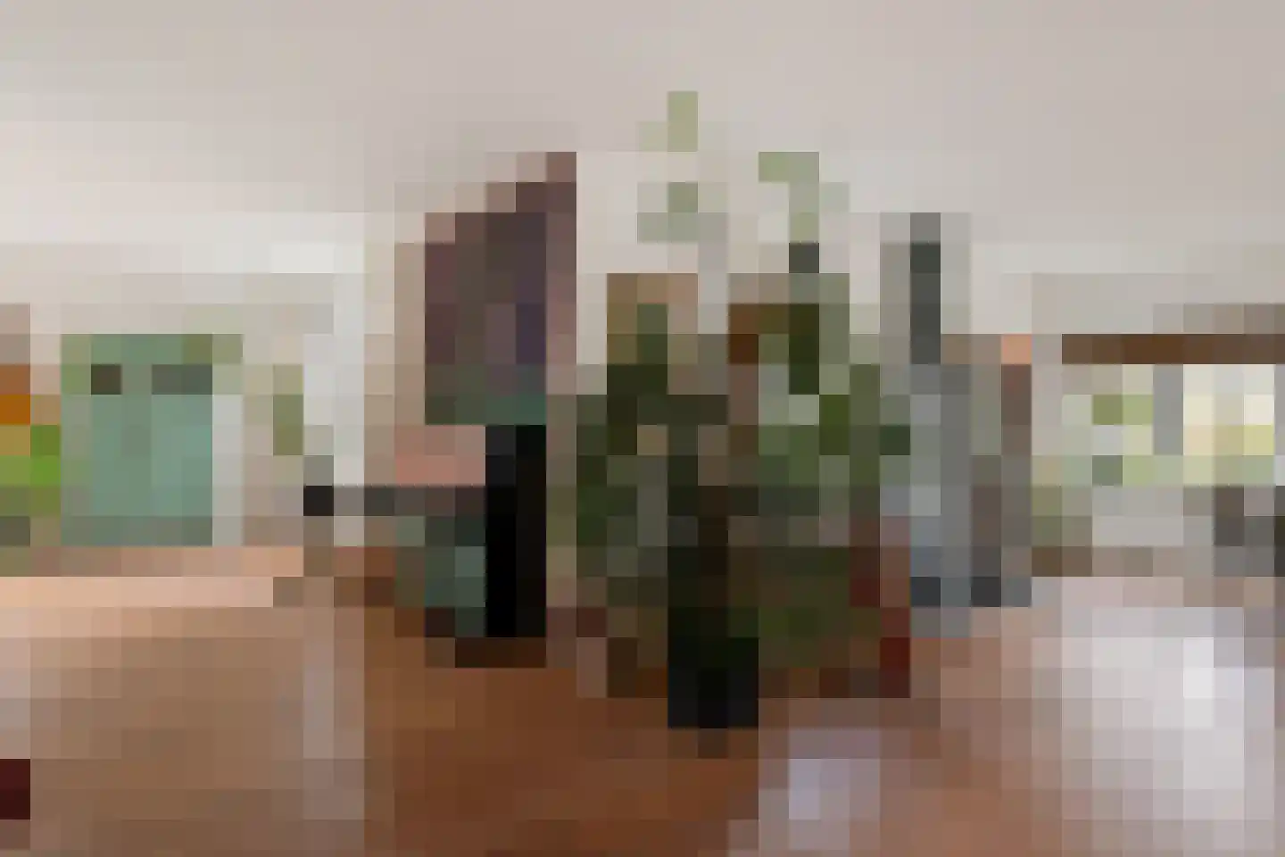 Dorpsweg 39 Schellinkhout thumbnail 19