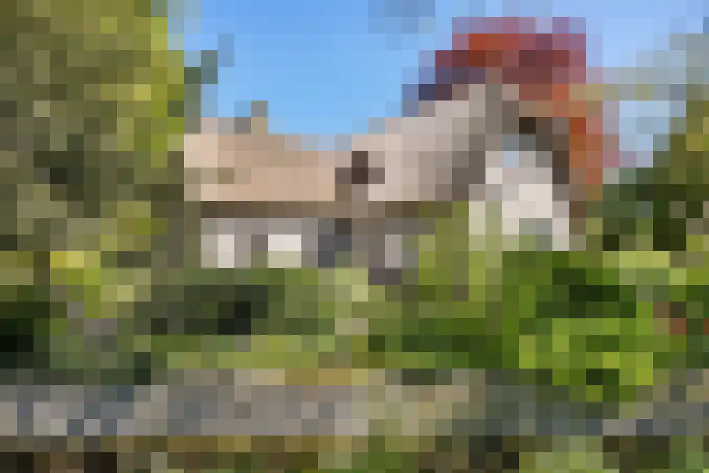 Dorpsweg 39 Schellinkhout foto 2