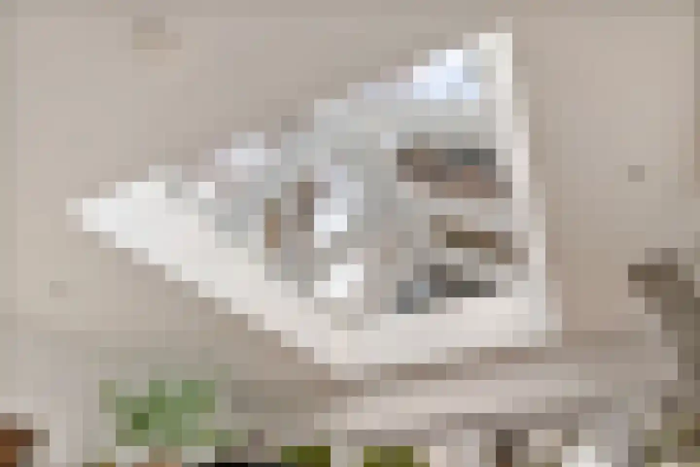Dorpsweg 39 Schellinkhout thumbnail 30