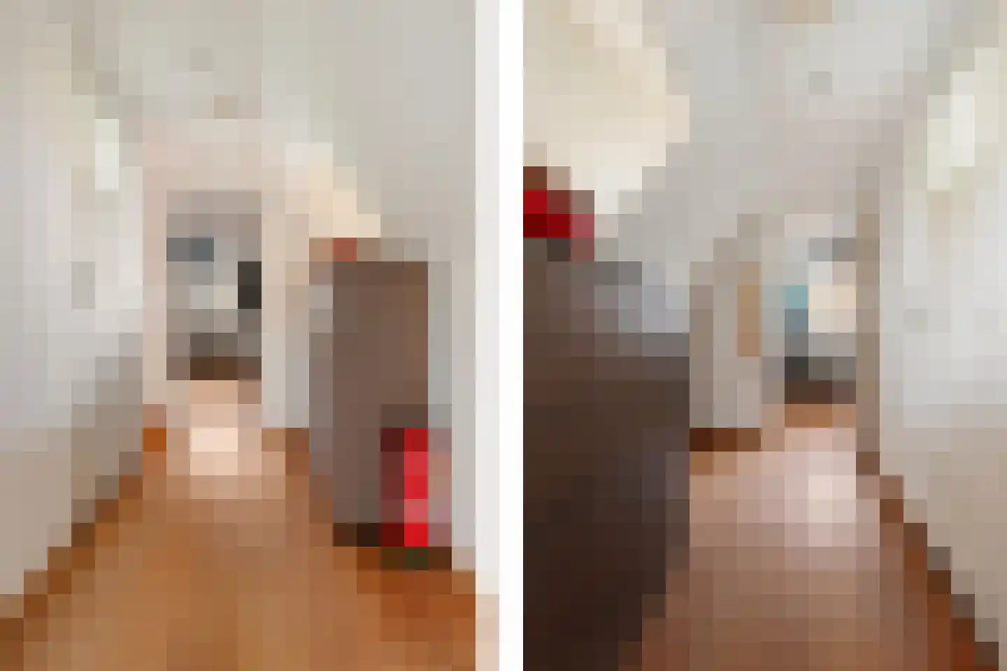 Dorpsweg 39 Schellinkhout thumbnail 39