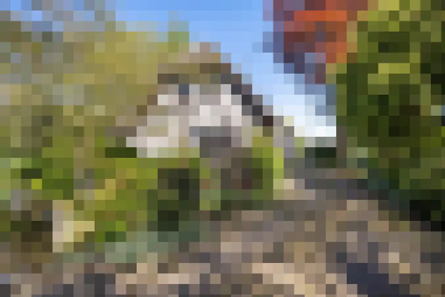 Dorpsweg 39 Schellinkhout thumbnail 4