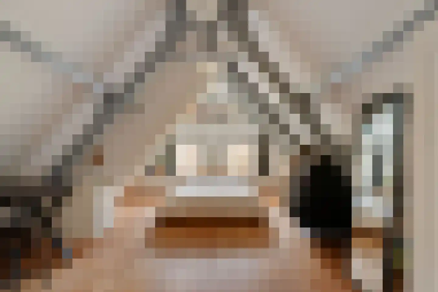 Dorpsweg 39 Schellinkhout thumbnail 45
