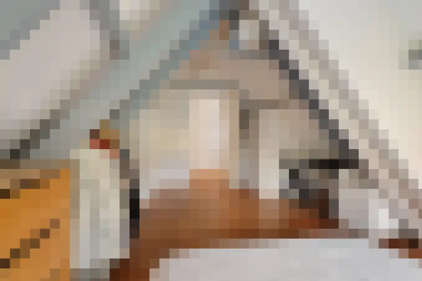 Dorpsweg 39 Schellinkhout thumbnail 47