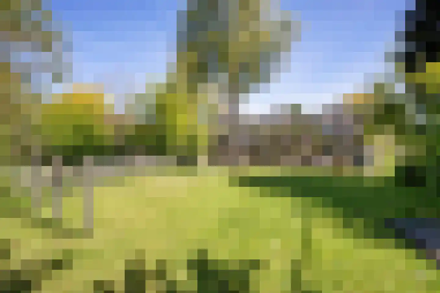 Dorpsweg 39 Schellinkhout thumbnail 48