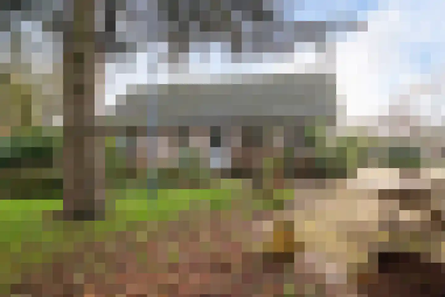 Dorpsweg 39 Schellinkhout thumbnail 48