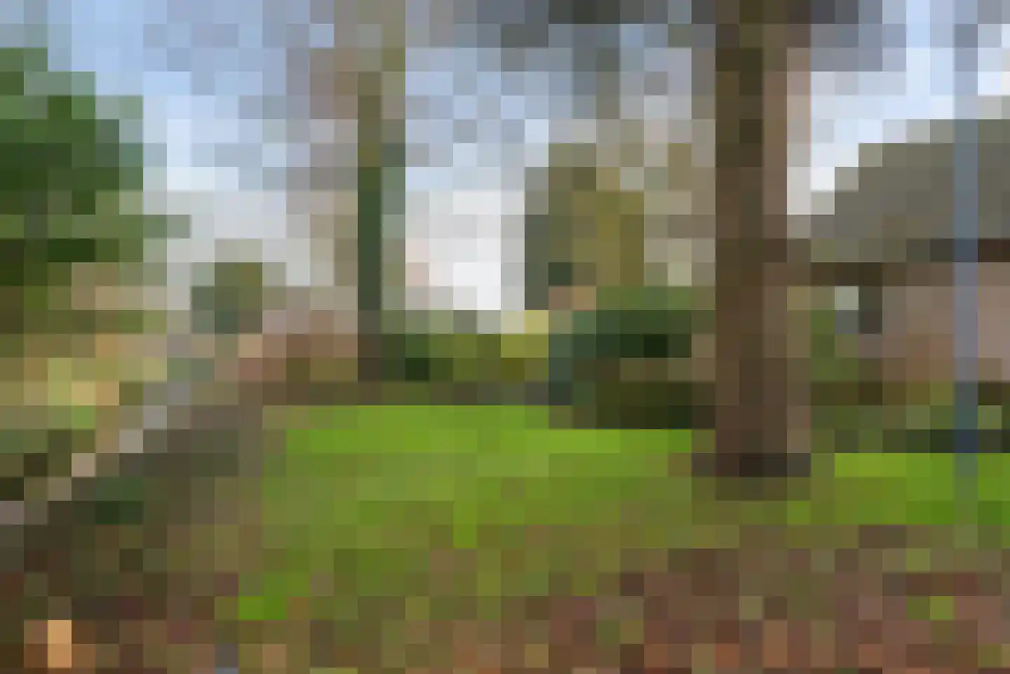 Dorpsweg 39 Schellinkhout thumbnail 49