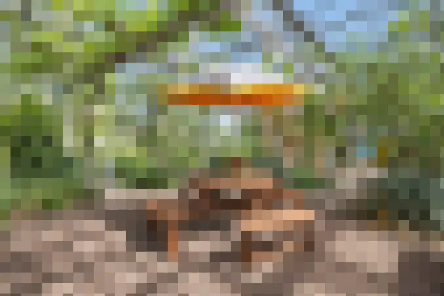 Dorpsweg 39 Schellinkhout thumbnail 50