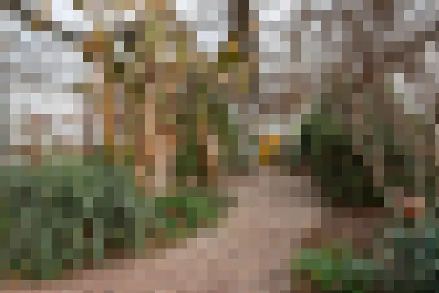 Dorpsweg 39 Schellinkhout thumbnail 51