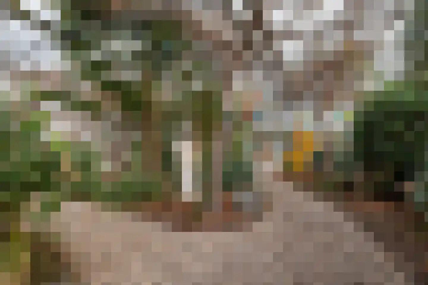 Dorpsweg 39 Schellinkhout thumbnail 52