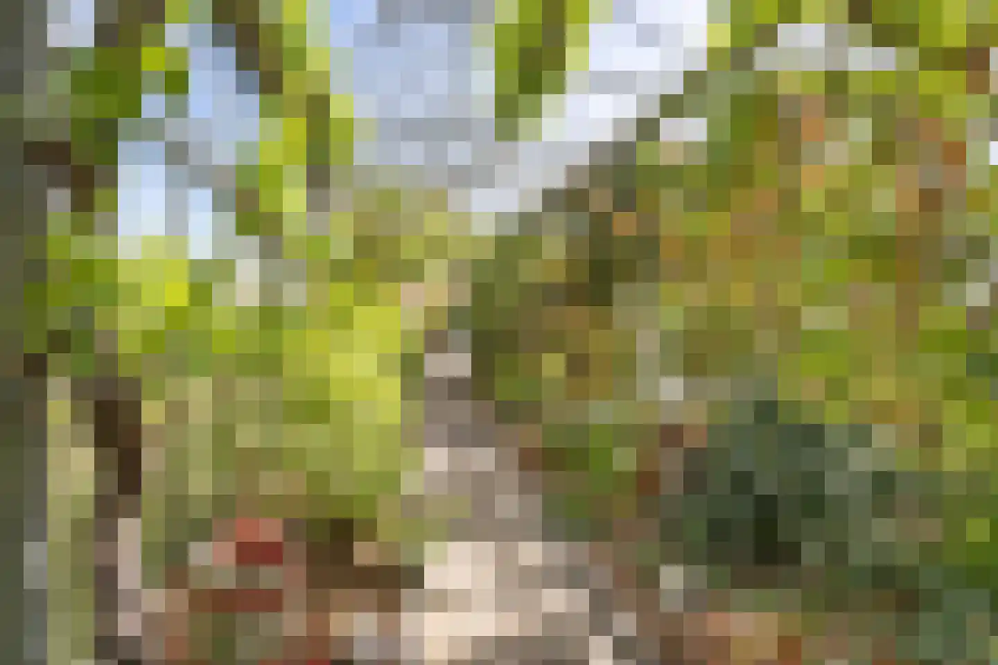 Dorpsweg 39 Schellinkhout thumbnail 56