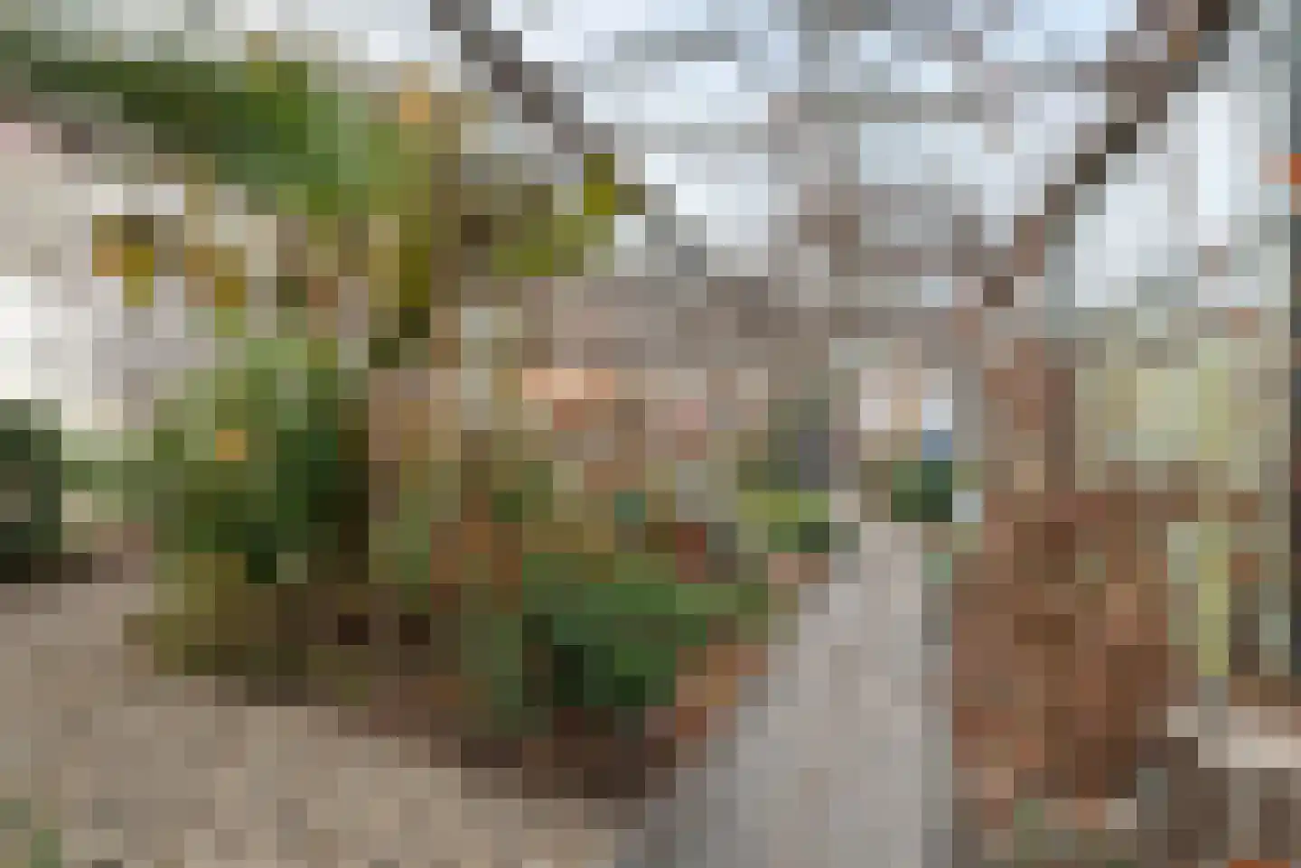 Dorpsweg 39 Schellinkhout thumbnail 57