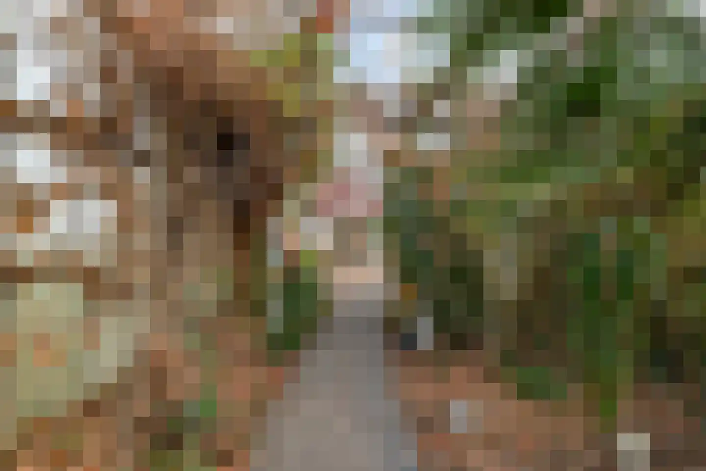 Dorpsweg 39 Schellinkhout thumbnail 58