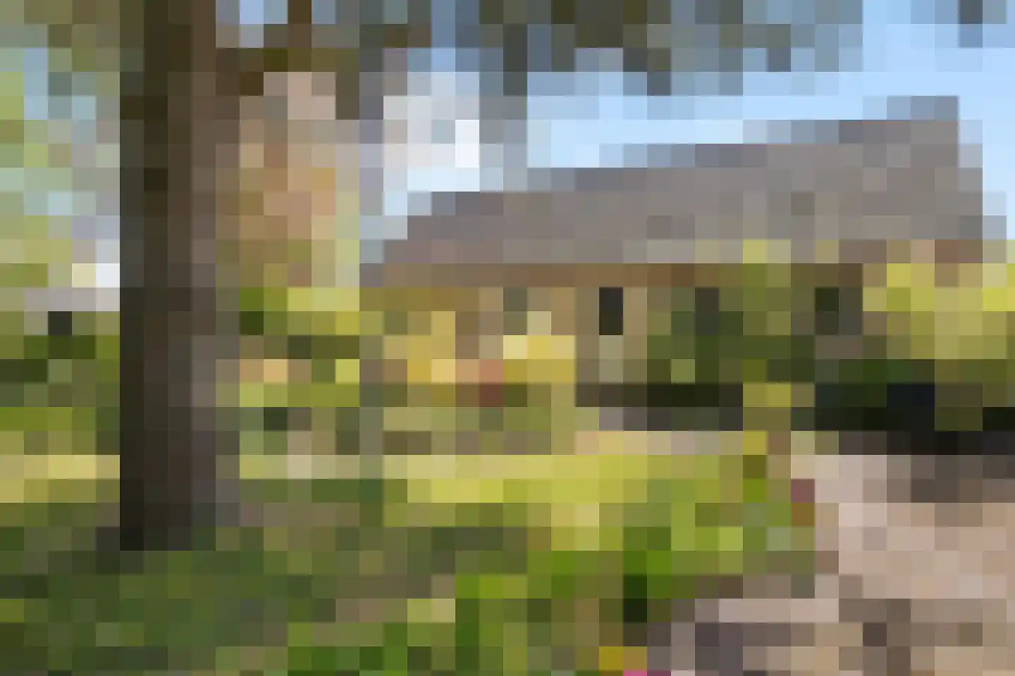 Dorpsweg 39 Schellinkhout thumbnail 6