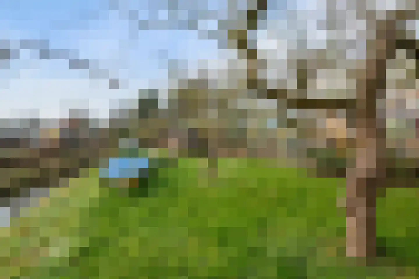 Dorpsweg 39 Schellinkhout thumbnail 60