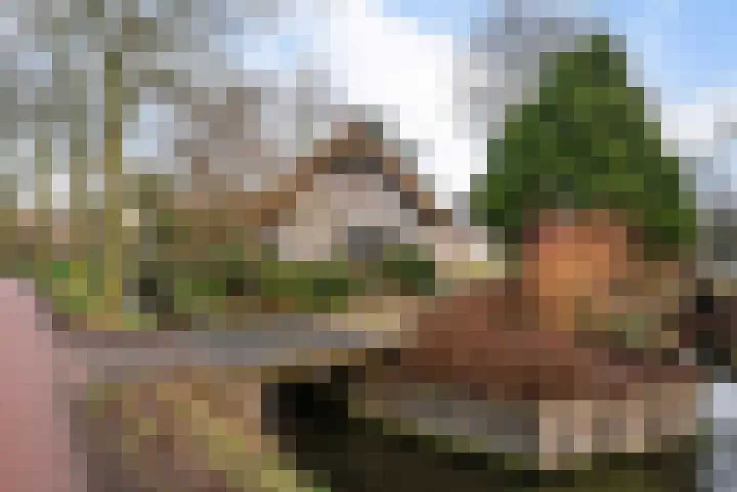 Dorpsweg 39 Schellinkhout thumbnail 66