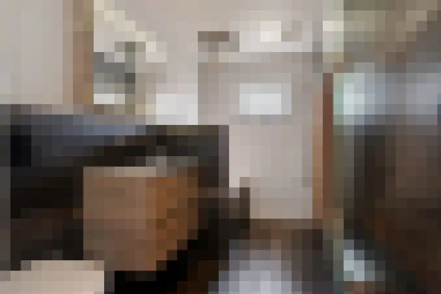 Dorpsweg 39 Schellinkhout thumbnail 9