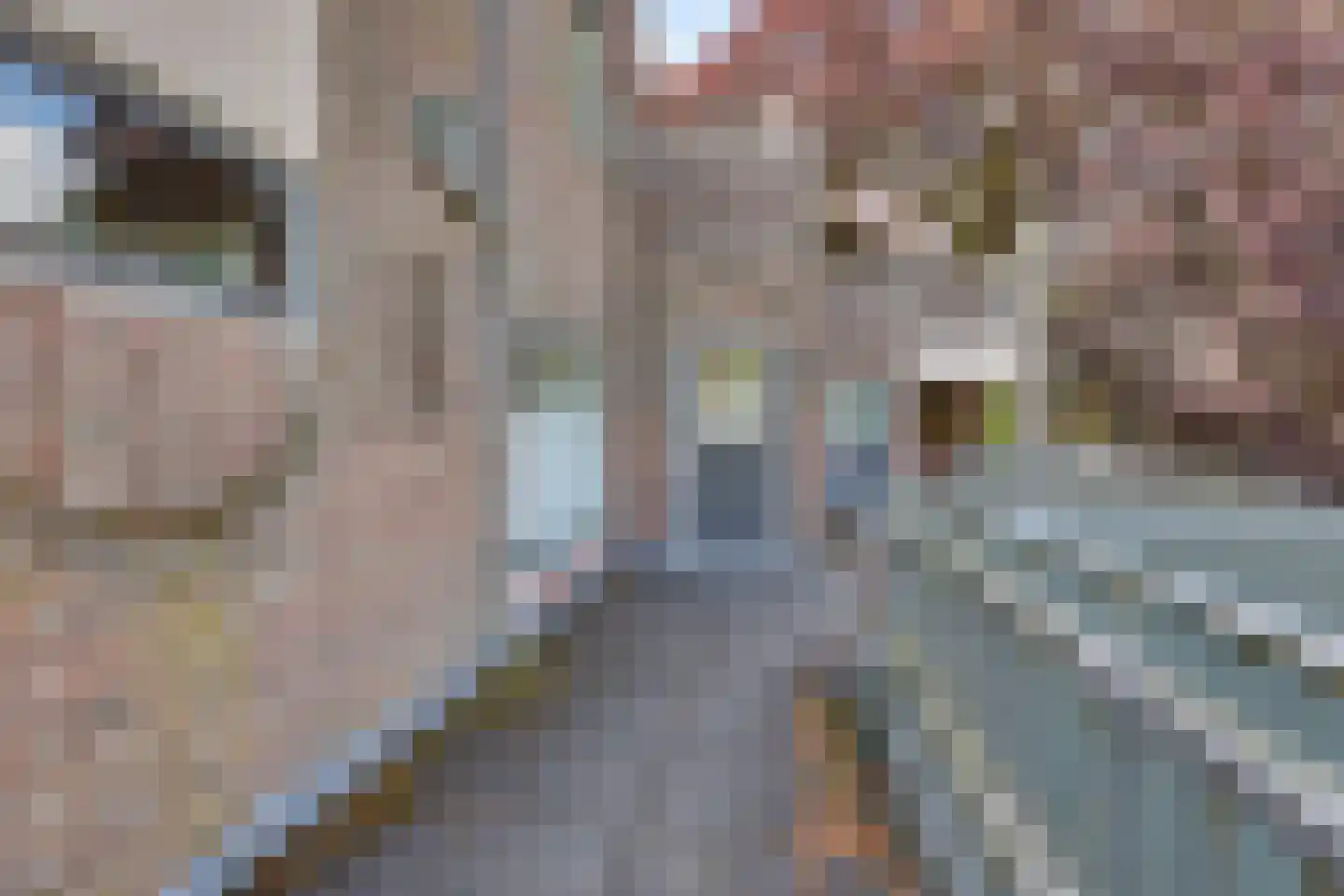 Dorpsweg 4 B IJsselmuiden thumbnail 11