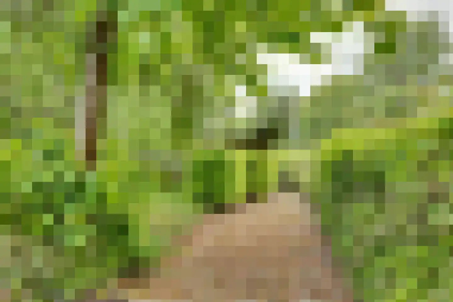 Dorpsweg 4 B IJsselmuiden thumbnail 36