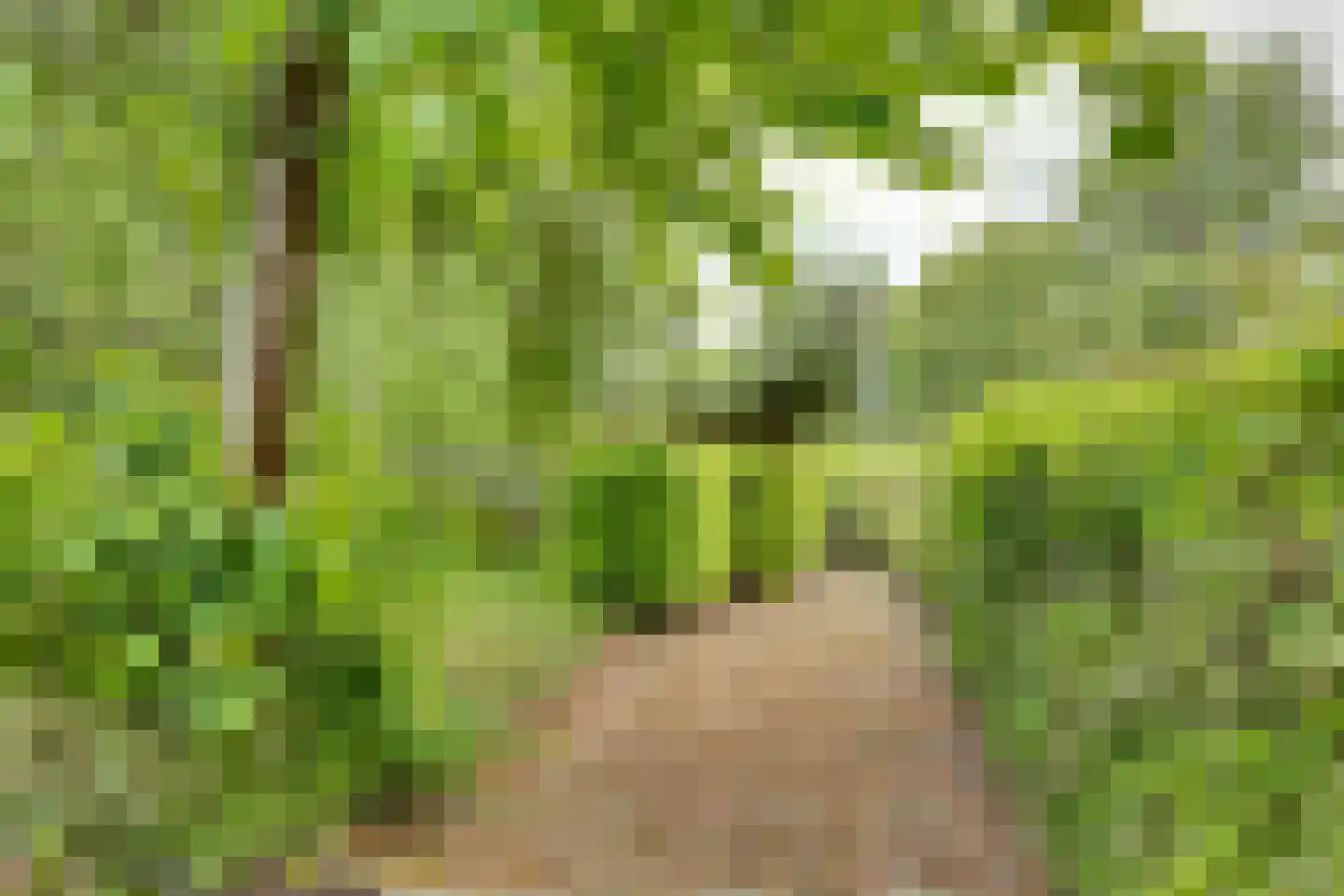 Dorpsweg 4 B IJsselmuiden thumbnail 37