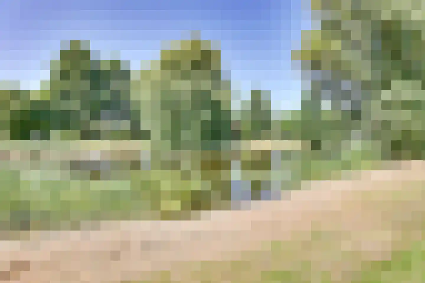 Dorpsweg 4 B IJsselmuiden thumbnail 39