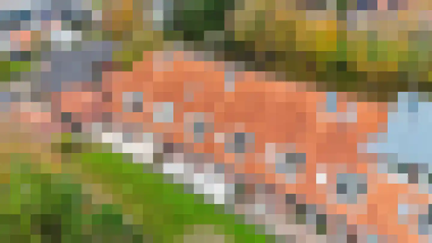 Dorpsweg 41 12 Ouddorp
