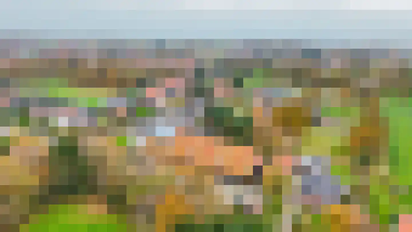 Dorpsweg 41 12 Ouddorp thumbnail 29