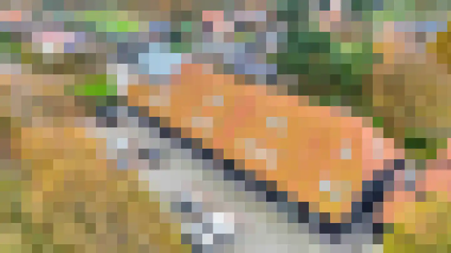 Dorpsweg 41 12 Ouddorp thumbnail 30