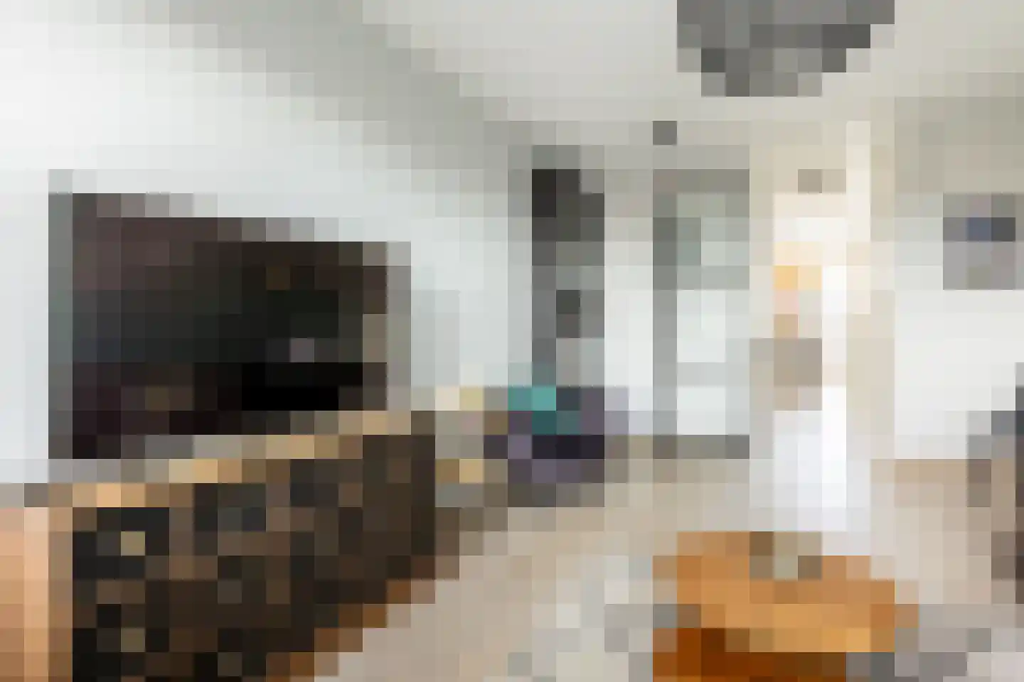 Dorpsweg 41 b Rockanje thumbnail 13