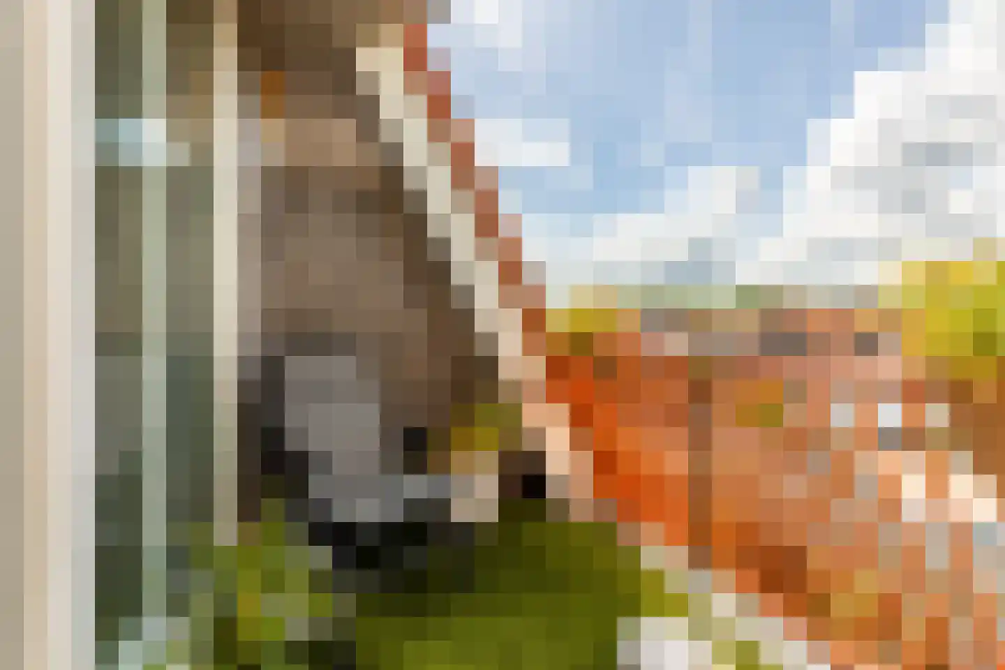 Dorpsweg 41 b Rockanje thumbnail 25