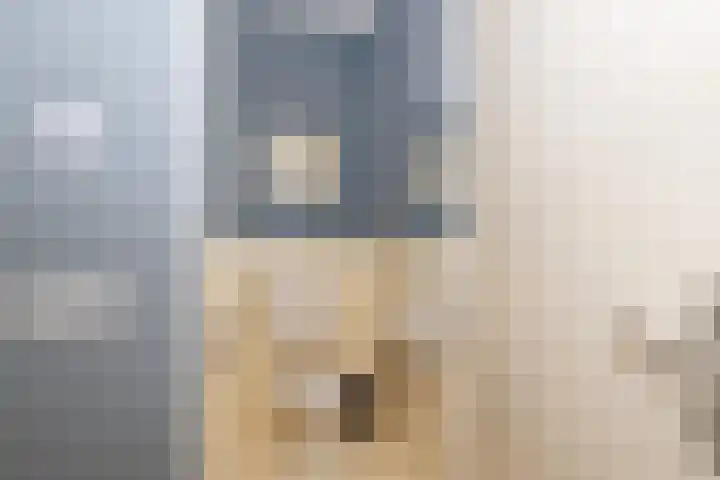Dorpsweg 41 Rockanje thumbnail 14
