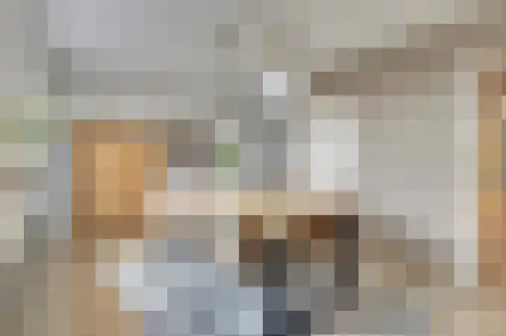 Dorpsweg 42 Wissenkerke thumbnail 10