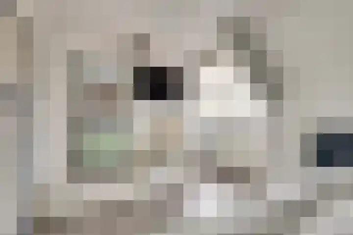 Dorpsweg 42 Wissenkerke thumbnail 14